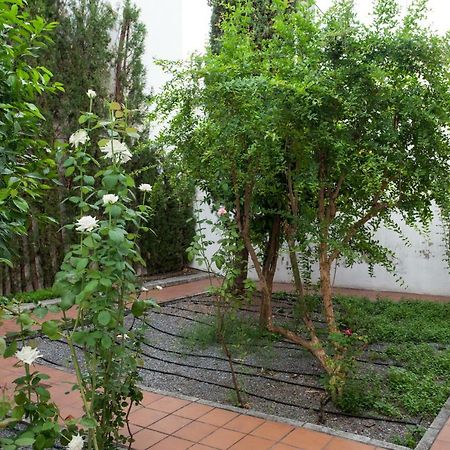 Apartamento De Lujo En Antiguo Convento Granada Buitenkant foto